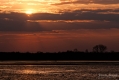 011_Biebrza - kwiecien 2010